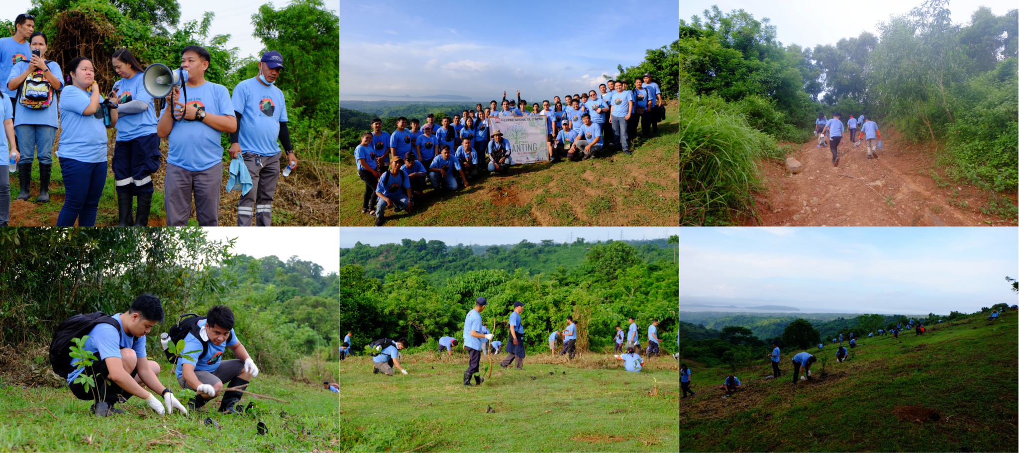 PIP Tree Planting 2023 Photo